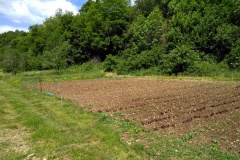 Frühlingswanderung 2019
