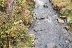 Herbstwanderung 2020
