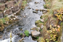 Herbstwanderung 2020