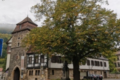 Herbstwanderung 2020