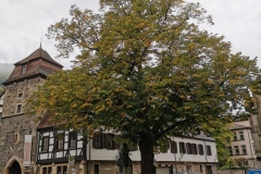 Herbstwanderung 2020