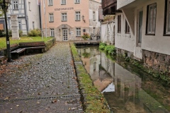 Herbstwanderung 2020