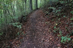 Herbstwanderung 2020