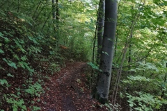 Herbstwanderung 2020