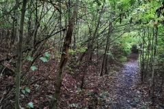 Herbstwanderung 2020