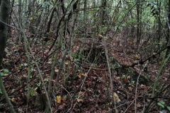 Herbstwanderung 2020