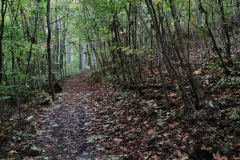 Herbstwanderung 2020