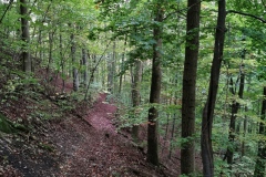 Herbstwanderung 2020