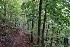 Herbstwanderung 2020