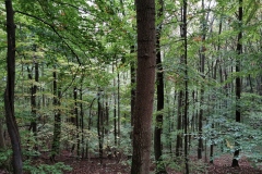 Herbstwanderung 2020