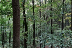 Herbstwanderung 2020
