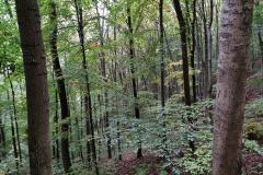 Herbstwanderung 2020