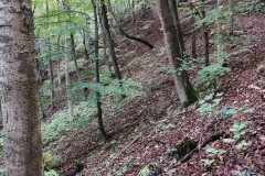 Herbstwanderung 2020
