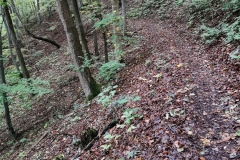 Herbstwanderung 2020