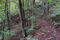 Herbstwanderung 2020