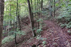Herbstwanderung 2020
