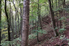 Herbstwanderung 2020