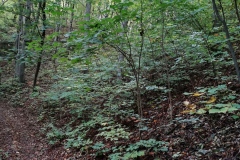 Herbstwanderung 2020