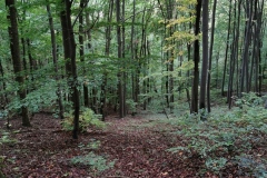 Herbstwanderung 2020