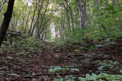 Herbstwanderung 2020