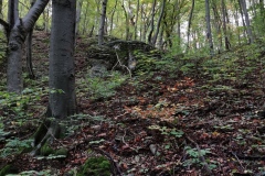 Herbstwanderung 2020