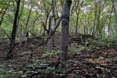 Herbstwanderung 2020