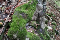 Herbstwanderung 2020