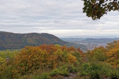 Herbstwanderung 2020