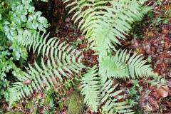 Herbstwanderung 2020