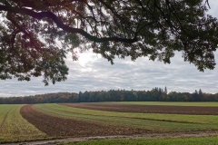 Herbstwanderung 2020