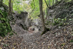 Herbstwanderung 2020