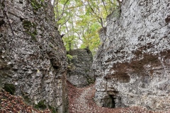 Herbstwanderung 2020