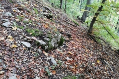 Herbstwanderung 2020