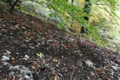 Herbstwanderung 2020