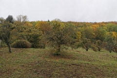Herbstwanderung 2020