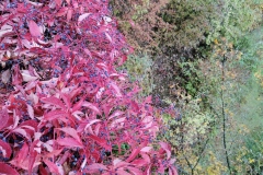 Herbstwanderung 2020