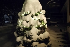 Winterwanderung 2019-152