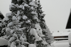 Winterwanderung 2019-002