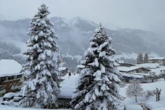 Winterwanderung 2019-003