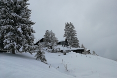 Winterwanderung 2019-005