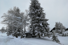 Winterwanderung 2019-006
