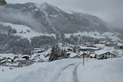Winterwanderung 2019-008