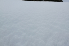Winterwanderung 2019-009