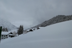 Winterwanderung 2019-012