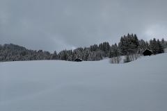 Winterwanderung 2019-013