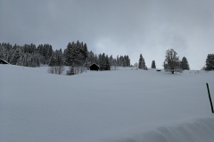 Winterwanderung 2019-014