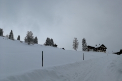 Winterwanderung 2019-015