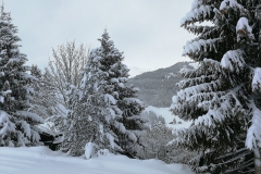 Winterwanderung 2019-017