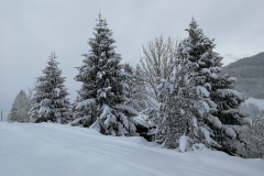 Winterwanderung 2019-018