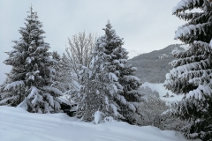 Winterwanderung 2019-019